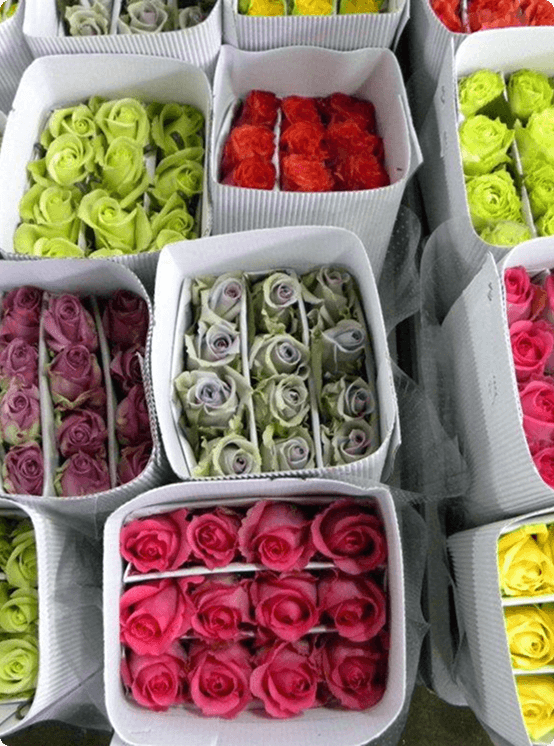 wholesale
