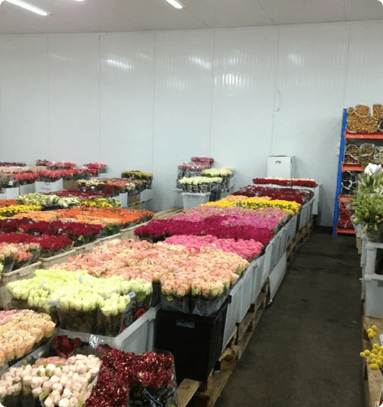 wholesale