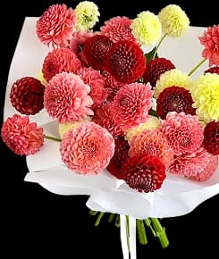 bouquet